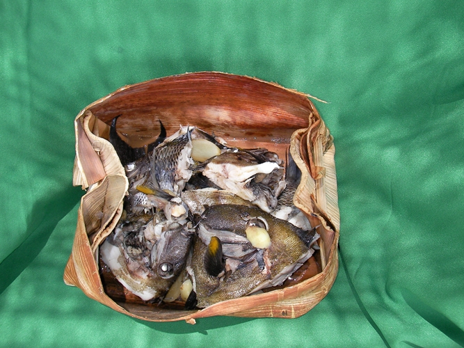 棷葉溪魚